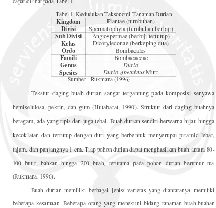 Tabel 1. Kedudukan Taksonomi Tanaman Durian