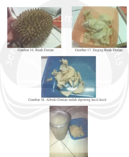 Gambar 16. Buah Durian