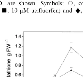 Fig. 4. Effect of aciﬂuorfen on the total glutathione level inpea leaf discs. All discs were preincubated for 24 h in dark-parallel dark incubations