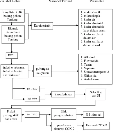 Gambar 1.1 Diagram kerangka pikir penelitian 