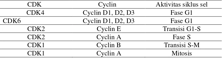 Tabel 2.1 Ikatan kompleks CDK-Cyclinpada fase siklus sel 