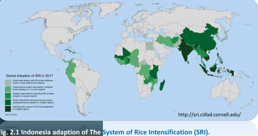 Fig. 2.1 Indonesia adaption of The System of Rice Intensification (SRI).