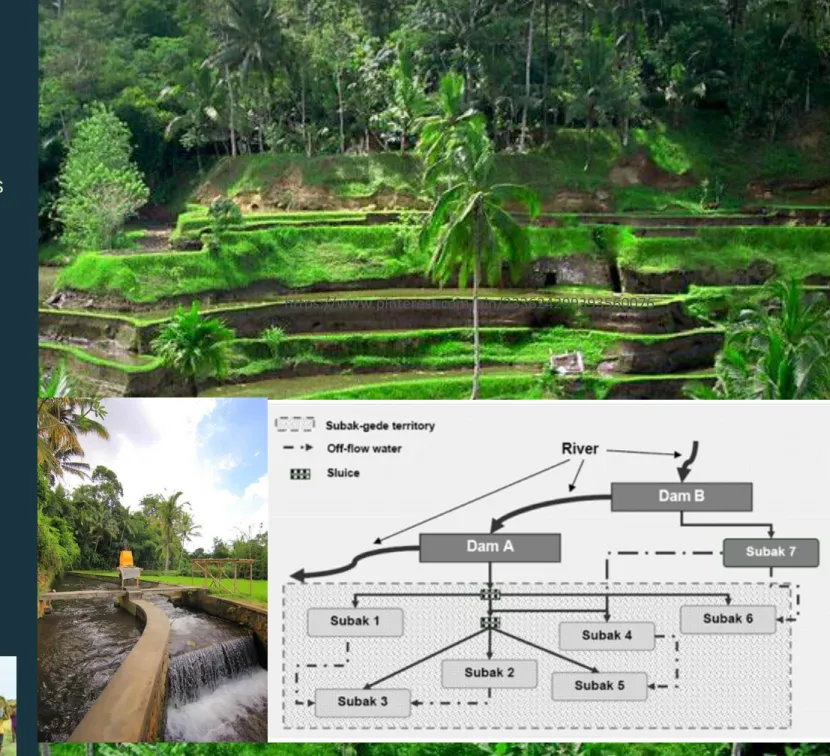 Fig. 2.2 Examples of Subak Gede Spatial Schemes (Lorenzen (2006)