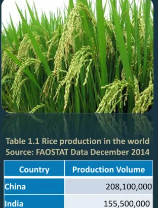 Table 1.1 Rice production in the world Source: FAOSTAT Data December 2014