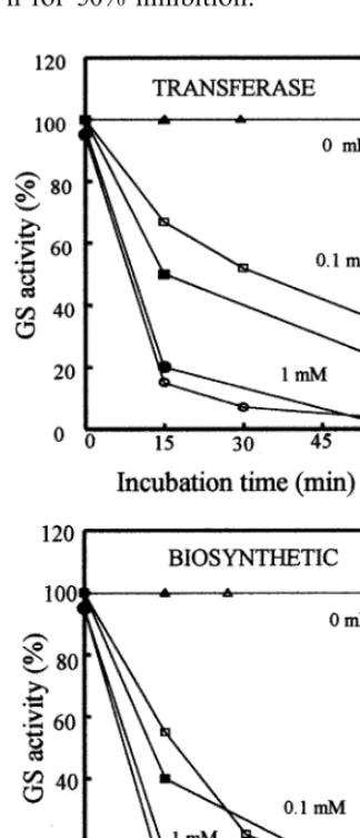 Fig. 3. Difference between thermal stability of WT and C92Amutant GSs. Puriﬁed GS preparations from WT and/or C92Amutant proteins were incubated either at 4°C (A) or 22°C (B)for different lengths of time, followed by both GS transferaseand biosynthetic enz