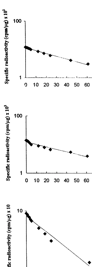 Fig. 1. Decay of speciﬁc radioactivity in ubiquinone (UQ-9)(A), UQ-10 (B) and plastoquinone (PQ) (C)
