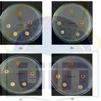 Gambar 4.2. Hasil uji aktivitas antibakteri ekstrak metanol (M), etil asetat (Ea),  Staphylococcus aureus n – heksana (H) daun C