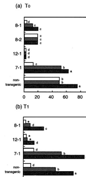 Fig. 4. Disease index against powdery mildew of transgeniclines of cultivar (cv.) Nantes Scarlet (NS)