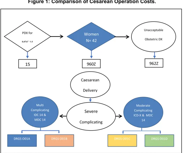 Figure 1: Comparison of Cesarean Operation Costs. 