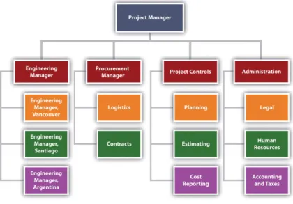 Figure 3.5 Organization for Major International Project