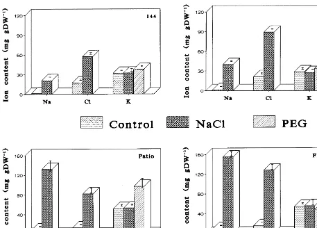 Fig. 2. Accumulation of Na+, Cl− and K+ in young leaves of four tomato cultivars as affected by water stress and salinity.