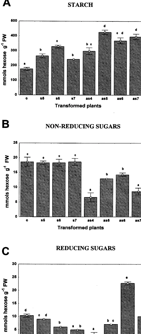 Fig. 6. Concentration of starch (A), non-reducing sugar (B)and reducing sugar (C) in leaves from control plants (c),35S-s64S sense (s5, s6 and s7) and 35S-s64AS antisense (as4,as5, as6 and as7) transgenic tobacco plants