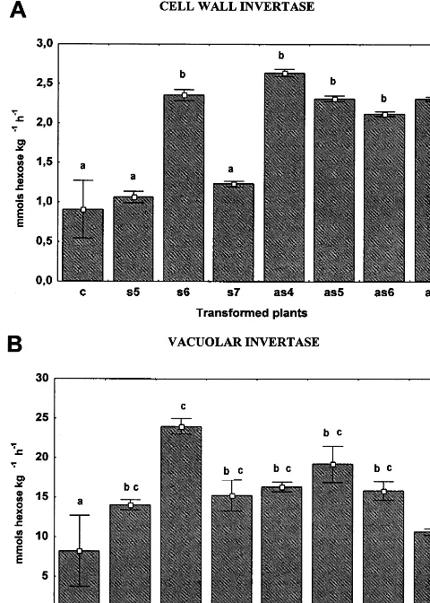 Fig. 7. CWI (A) and vacuolar invertase (B) activities oftobacco leaves from control and transgenic plants