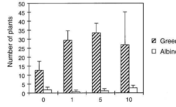 Fig. 7. Production of green and albino plants: the effect of copper addition into the media.