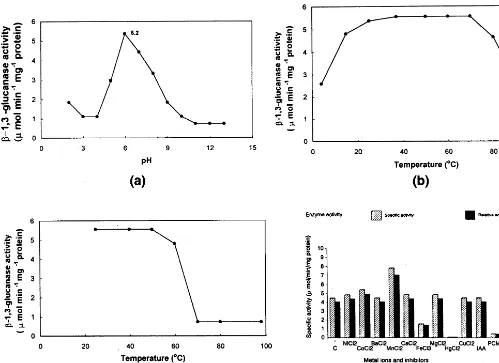 Fig. 5. Detection of �-1,3-glucanases by immunological reac-tion of crude extracts of pearl millet with antiserum againstpuriﬁed �-1,3-glucanase