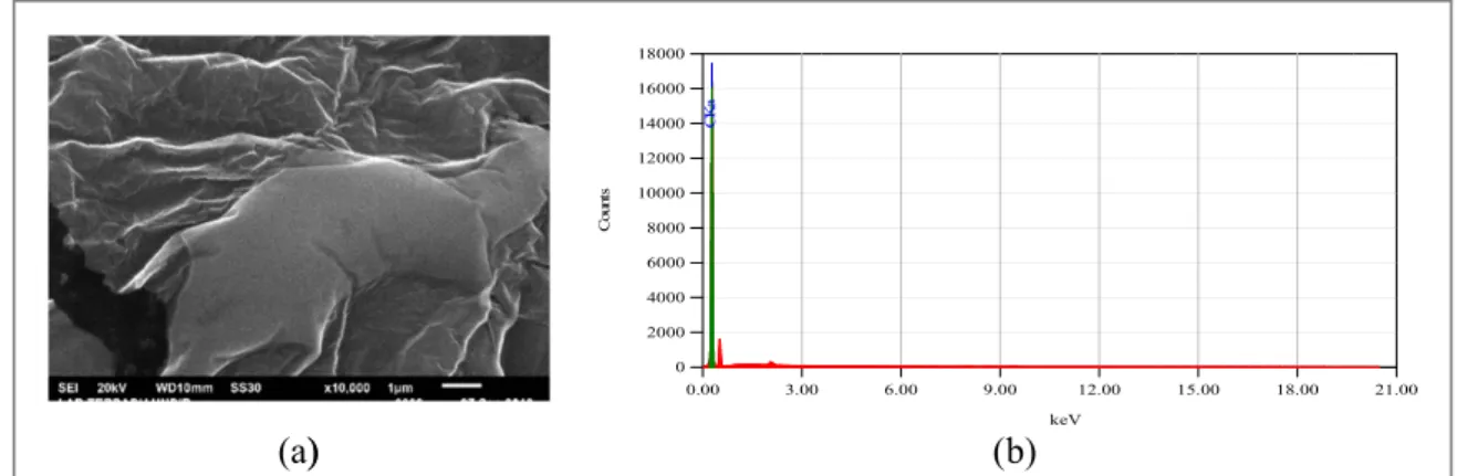 Figure 4. ( a ) SEM image from the sample produced at 10,000 magni ﬁ cation, and ( b ) EDX results showing 100% carbon atoms.