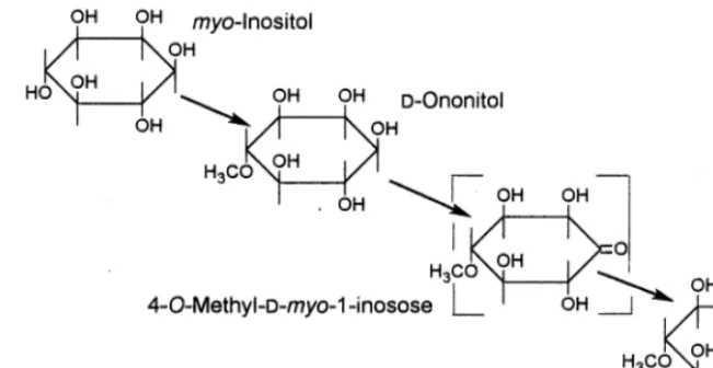 Fig. 8. Biochemical conversion of myo-inositol to pinitol. Bracket indicates theoretical intermediate.