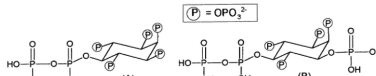 Fig. 10. Pyrophosphorylated inositol polyphosphates. (A) 5-PP-InsP5 and (B) 1,5-[PP]2-InsP4.