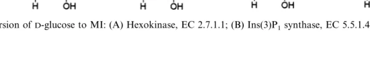 Fig. 4. Conversion of D-glucose to MI: (A) Hexokinase, EC 2.7.1.1; (B) Ins(3)P1 synthase, EC 5.5.1.4; (C) MI monophosphatase,EC 3.1.3.25.