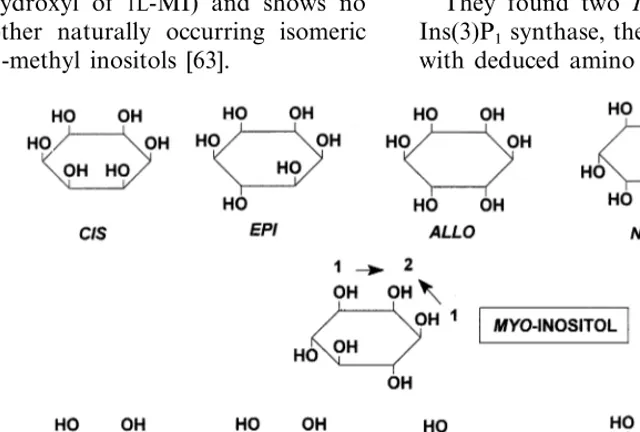 Fig. 7. Isomeric inositols.