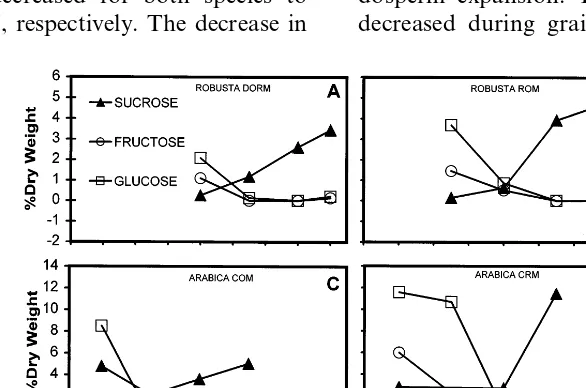 Fig. 1. Changes in concentrations of sucrose, fructose and glucose in whole grains (separated from pericarp and locules) from twovarieties of Coffea canephora (Robusta), (A) Dormilon, (B) ROM, and two varieties of C