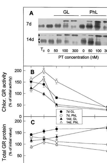 Fig. 6. Effects of leaf age, photooxidative light and paraquatconcentration on the levels of GR activity and protein