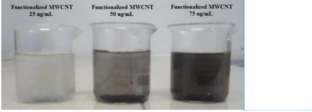 Figure 11. Concentrations of functionalization MWCNT solution. 
