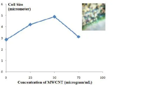 Figure 13. Effect of the functionalized MWCNT is on the growth of mustard cell  CONCLUSION 