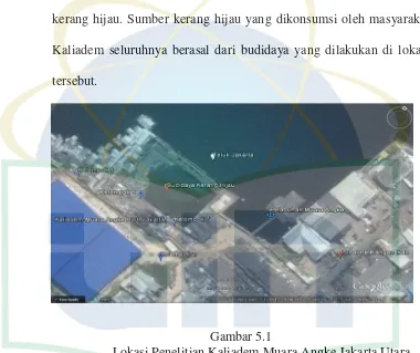 Gambar 5.1 Lokasi Penelitian Kaliadem Muara Angke Jakarta Utara 