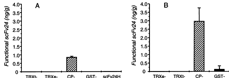 Fig. 5. Levels of cytoplasmic expressed fusion proteins. N. benthamiana leaves were transiently transformed with recombinantagrobacteria and incubated for 3 days