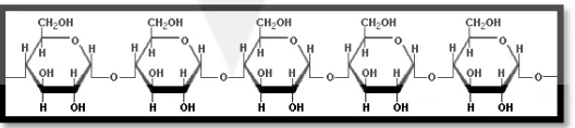Gambar 5. Struktur Kimia Amilosa (Sumber : Whistler dkk., 1984) 
