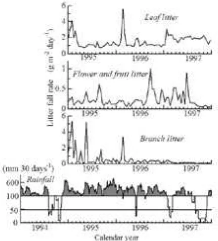 Fig. 1.  Trends in cumulative rainfall in the preceding 30 days and litter-fall rates of leaves, flowers, fruits, and branches
