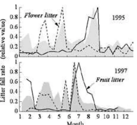 Fig. 4.  Seasonal trends in the fall rates for flowers (broken lines) and fruits (solid lines)
