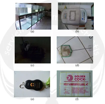 Gambar 7. Alat  yang digunakan pada penelitian  Keterangan : a. Akuarium digunakan untuk menempatkan ikan pada tiap     perlakuan b