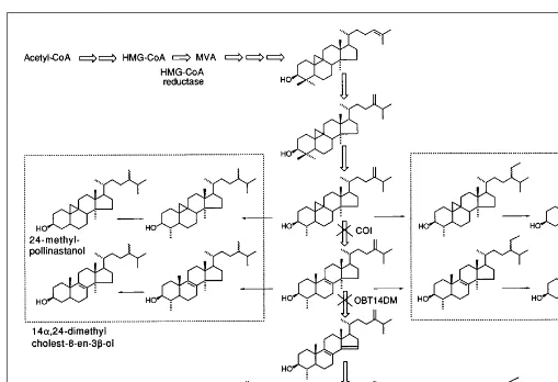Fig. 3. Use of sterol biosynthesis inhibitors to manipulate the sterol profile of plant membranes an accumulation of 14The inhibition of COI leads to an accumulation of 9boxed sterols are not present in untreated plants