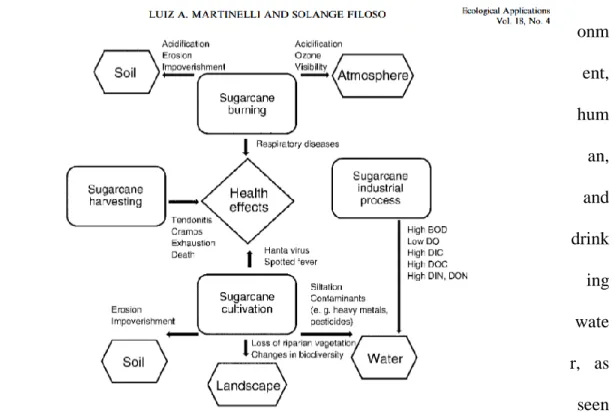 Figure ‎2.1. Diagram showing the main environmental and social impact of sugarcane  agro-industry