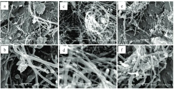 Figure  1  shows  low-magnification  and  high-magnification  SEM  images  of  the  CNT  counter  electrodes  with  various masses of CNT on FTO glass