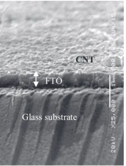 FIGURE 1.SEM images low-magnification (top) and high- magnification (bottom) of prepared CNT layers deposited on FTO  glasses with various masses of the CNT (a,b) 0.01 (c,d) 0.02 and (e,f) 0.04 gr