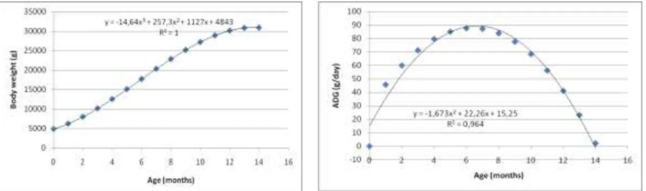 Illustration 1. The growth curve (left) and growth rate curve (right) of local sheep in rural  Average daily gain (ADG) of local sheep in the rural  were 57.86 g with the ADG highest  (87.50 g) achievement at the age of 6 months