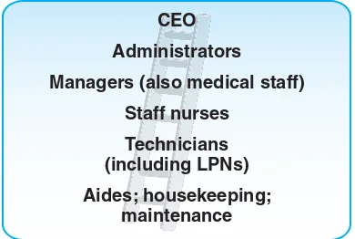 Figure 5.1 The organizational ladder.