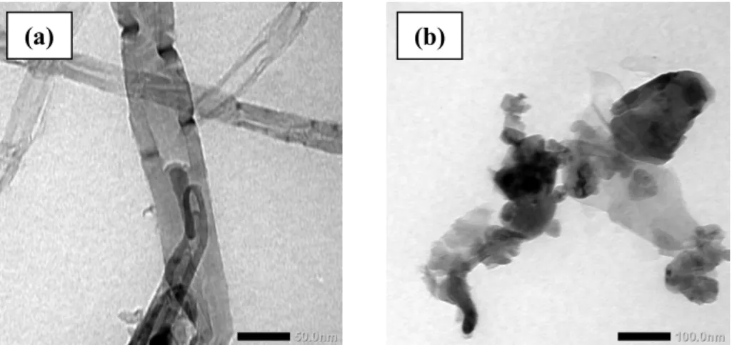Fig 1. TEM images of (a) the pristine CNT and (b) AC-MnO 2 -CNT composite. 