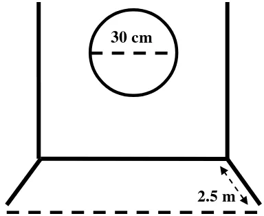 Gambar 4. Dinding Target Tes Koordinasi Mata, Tangan                           (Ismaryati, 2006: 54) 