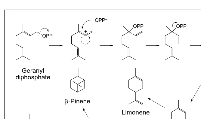 Fig. 3. Proposed mechanism of limonene synthase, a terpene synthase that produces mul-tiple products as demonstrated by isotopically-sensitive branching experiments33 and cDNAcloning34