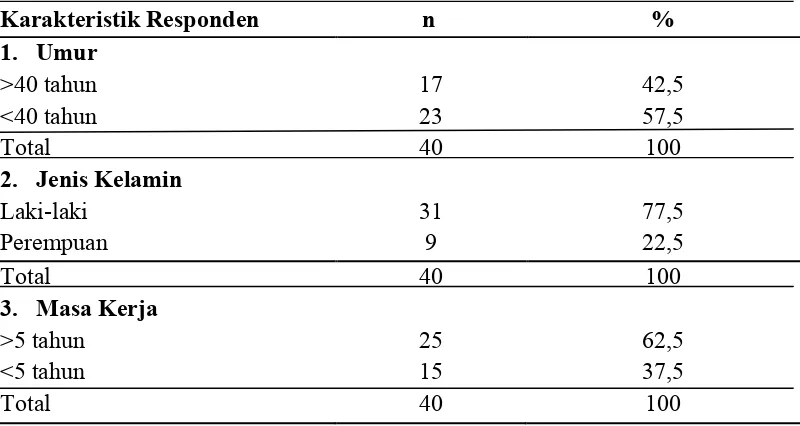 Tabel 4.4 Distribusi Responden Berdasarkan Karakteristik Pengrajin Batu bata di Kecamatan Pagar Merbau Tahun 2016