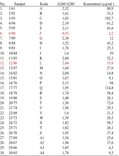 Tabel 2. Hasil uji Kuantitas 30 sampel DNA  Kelapa sawit asal klon BTC 64 
