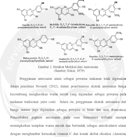Gambar 2. Struktur Molekul dari Antosianin 