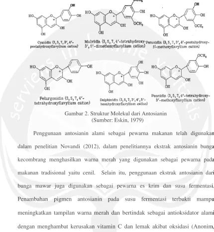 Gambar 2. Struktur Molekul dari Antosianin 