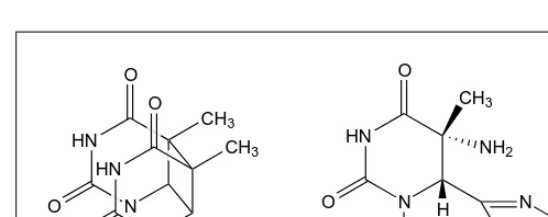 Fig. 1. Two common UV-induced photoproducts: a cyclobutanepyrimidine (in this example T-T) dimer and a pyrimidine [6-4]pyrimidinone (in this example T-C) dimer