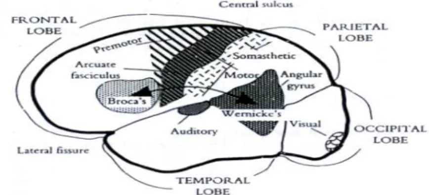 Gambar 9.5. Proses Mental dengan Input Bentuk Lisan dan  Tulis 