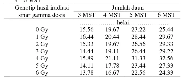 Tabel 2. Rataan jumlah daun genotip bawang merah generasi M1V5 umur                  